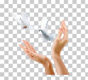 Advertising Gratis Icon PNG