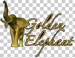 Take-out Asian Cuisine Golden Elephant Restaurant Asian Chinese Cuisine Thai Cuisine PNG