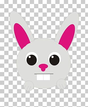 Easter Bunny Snowball Domestic Rabbit Pet PNG, Clipart, Animal, Animals ...