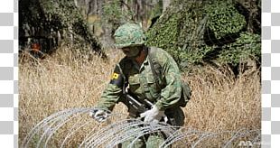 Singapore Australia Soldier Military Ministry Of Defence PNG