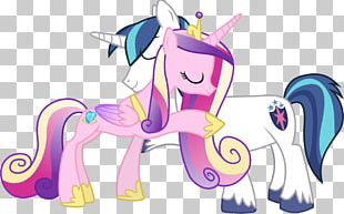 Pony Princess Cadance Shining Armor Rainbow Dash Sweetie Belle PNG ...