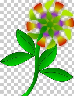 Flower Graphics Open Drawing PNG