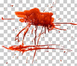 Blood Residue Zenia: For The Cruelty Of Men PNG