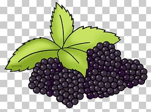 Grape Leaves Food Water Infusion PNG