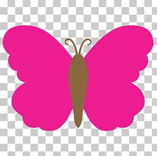 Butterfly Cuteness Victon Aesthetics Color PNG, Clipart, Aegyo, Art ...