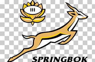 South Africa National Rugby Union Team Springbok 2015 Rugby World Cup ...