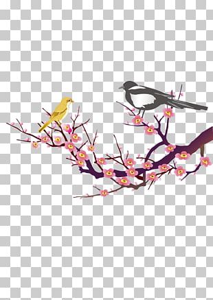 Paper PNG