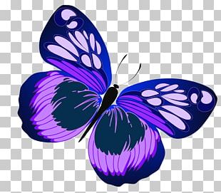 Butterfly Insect Free PNG, Clipart, Arthropod, Brush Footed Butterfly ...