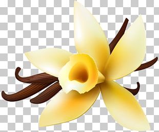 Chocolate Ice Cream Vanilla Milkshake PNG