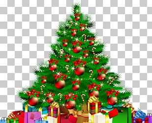 Christmas Tree Santa Claus PNG, Clipart, Christmas, Christmas And ...