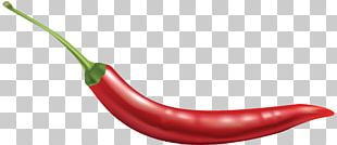 Chili Pepper Cayenne Pepper Tabasco Pepper Spice Png, Clipart, Bell 