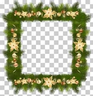 Christmas Tree Frames PNG