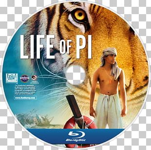 Life Of Pi 1080p Desktop 4K Resolution PNG