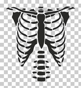 Rib Cage Png Images Rib Cage Clipart Free Download - roblox johnny cage shirt