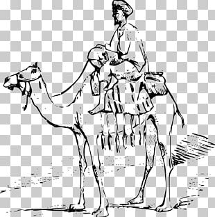 Dromedary Black And White Watercolor Painting Drawing Sketch PNG