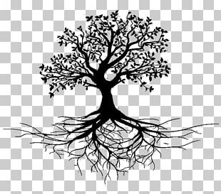 Bird Tree Root PNG, Clipart, Animals, Area, Bird, Black And White ...