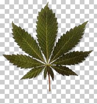 Legality Of Cannabis Stoner Film Drug Poster PNG, Clipart, Cannabis ...