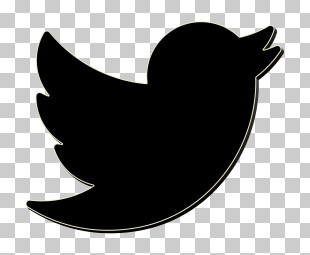 Social Media Elements Icon Twitter Icon PNG