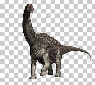 Argentinosaurus Dinosaur Size Tyrannosaurus Rex Stock Photography Png 