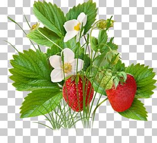 Strawberry Fruit PNG