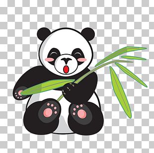 Teddy Bear Drawing Giant Panda Cartoon PNG, Clipart, Animals, Bear ...