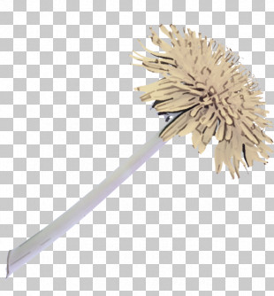 Brush Plant Pom-pom PNG