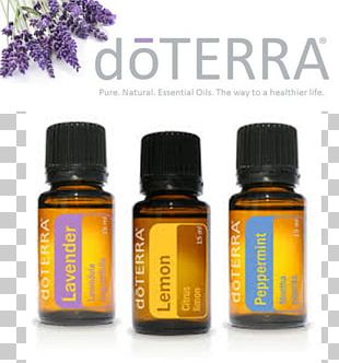 Essential Oil DoTerra Aromatic Compounds Bark PNG, Clipart ...