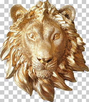 Sư tử vàng - Hãy chiêm ngưỡng hình ảnh con sư tử vàng đầy uy nghiêm, với bộ lông óng ánh ánh vàng óng đầy sang trọng. Sự mạnh mẽ và quý phái của chúng sẽ khiến bạn cảm thấy kinh ngạc và vô cùng tôn trọng.