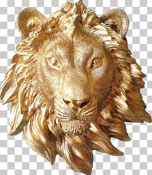 Gold Lion Head Png Images Gold Lion Head Clipart Free Download