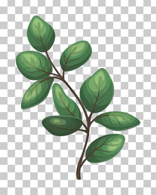 Art - Green Leafy Branch Illustration For Nature Lovers PNG