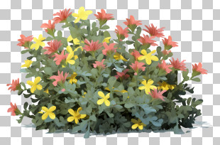 Pink Flowers - Yellow And Red Flowers In Bush PNG