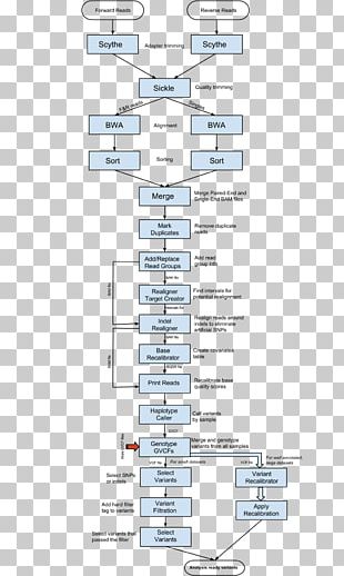 Flowchart Trademark Information Symbol Diagram PNG, Clipart, Angle ...