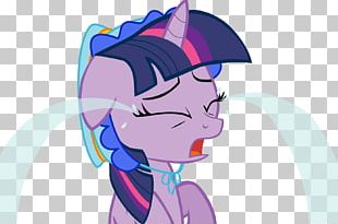Twilight Sparkle Pinkie Pie Applejack Rarity Rainbow Dash PNG