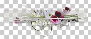 Cut Flowers Television Show Karbala PNG