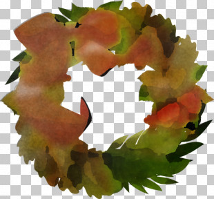 Leaf Fruit Plants Biology Plant Structure PNG