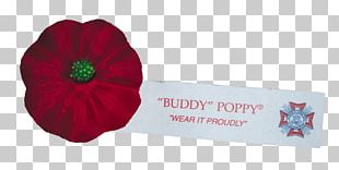 Poppy Veterans Of Foreign Wars Organization Flower PNG