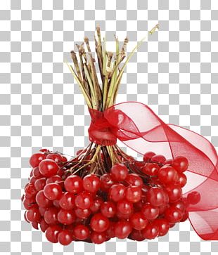 Cranberry Pink Peppercorn Still Life Photography PNG