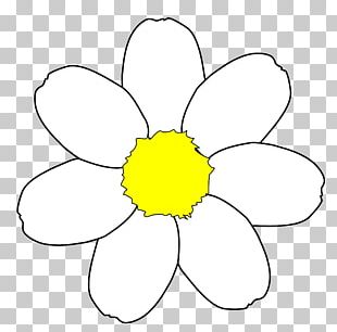 Common Daisy Free Content PNG