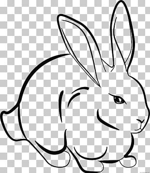 Hare Easter Bunny Domestic Rabbit Line Art PNG