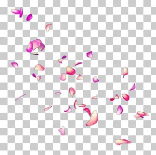 PicsArt Photo Studio Petal Flower PNG