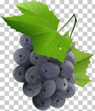 Grape Fruit Vegetable PNG