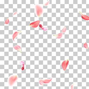 Petal Pink Flower PNG