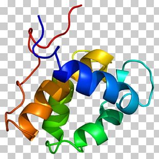 EPS15 Protein Epidermal Growth Factor Receptor Gene PNG