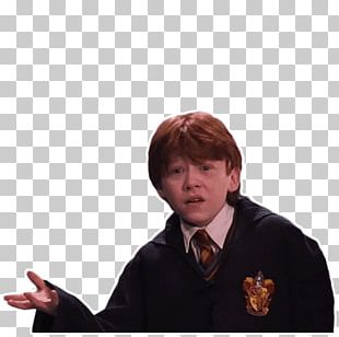Harry Potter Hermione Granger Ron Weasley Sticker PNG
