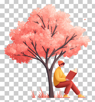 Reading Under Pink Blossom Tree PNG