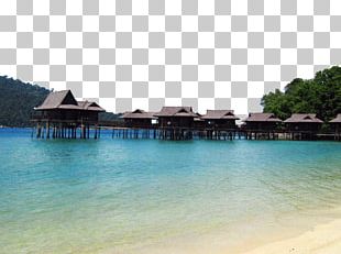 Lumut PNG