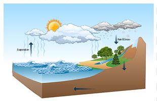 Water Cycle Diagram PNG, Clipart, Diagram, Drawing, Ecosystem Diversity ...