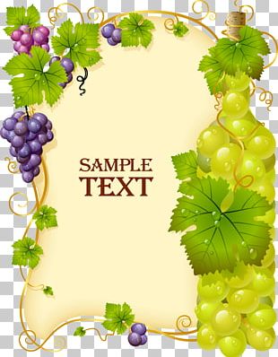 Cabernet Franc Sauvignon Blanc Pinot Gris Cabernet Sauvignon Wine PNG