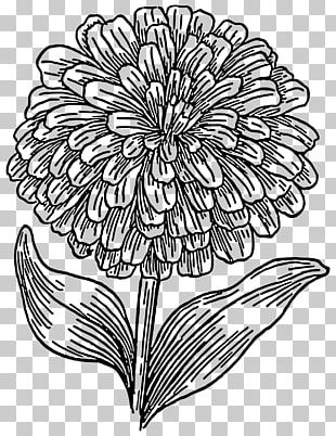 Coloring Book Leaf Drawing Black And White Page PNG, Clipart, Adult ...