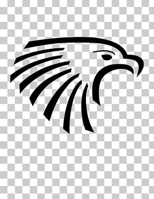 Bald Eagle Timas Yayin Grubu Logo Font PNG, Clipart, Bald Eagle, Brand ...